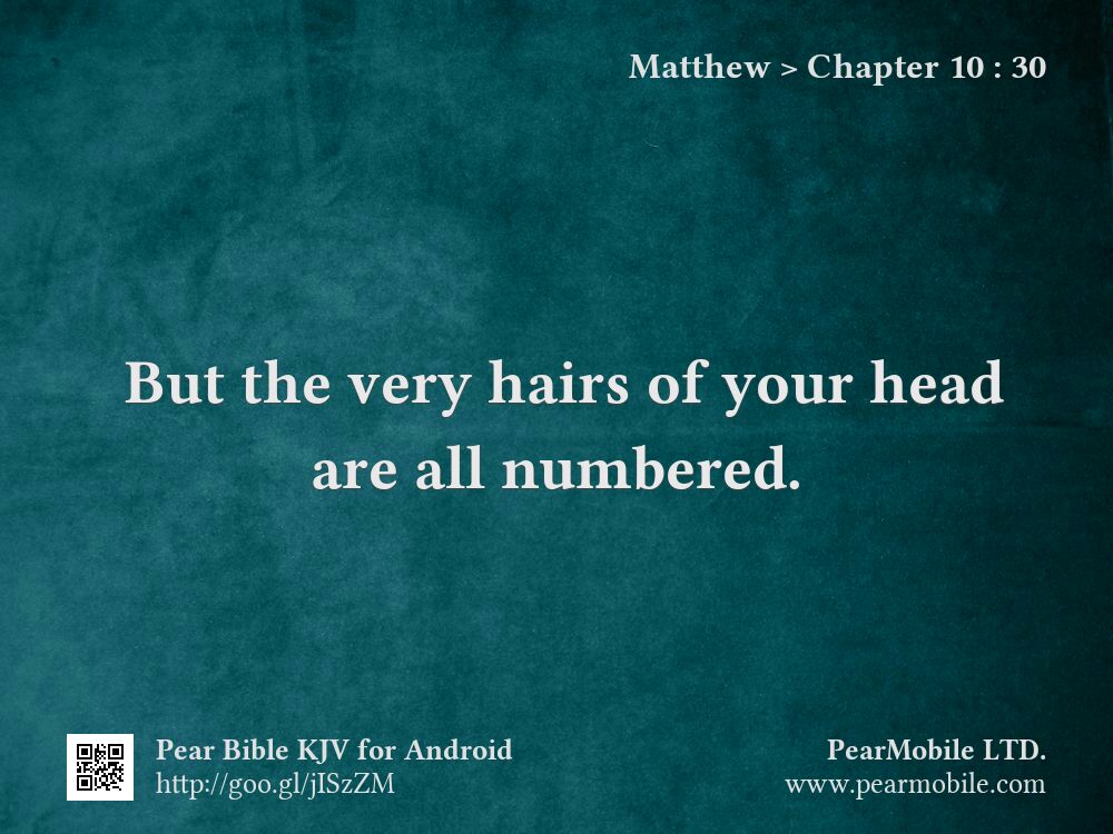 Matthew, Chapter 10:30